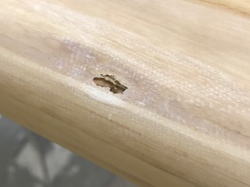 �G�|�L�V Firewire 47_3